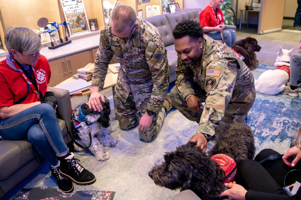 SBD 1 Chaplain's office brings GO TEAM therapy dogs to JTF-SD
