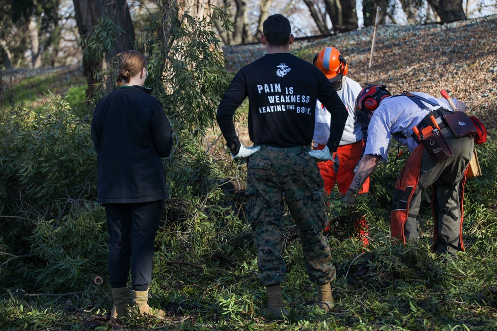 Marines Help Clean Up the Sacramento Marina
