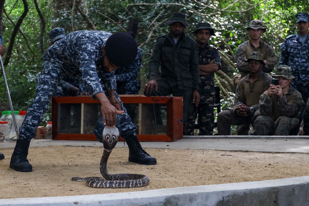 13th MEU CARAT Sri Lanka Snake Handling