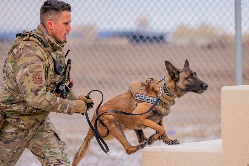 Air Force MWDs conduct winter training