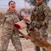 Air Force MWDs conduct winter training