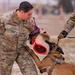 Air Force MWDs conduct winter training