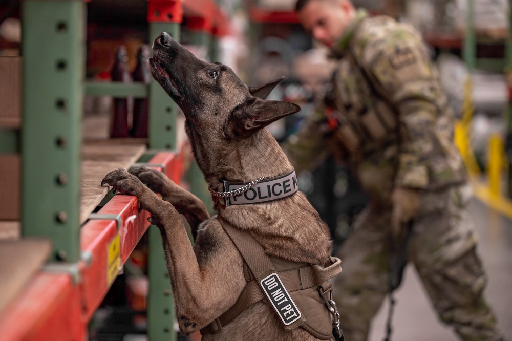 Air Force MWDs conduct winter training