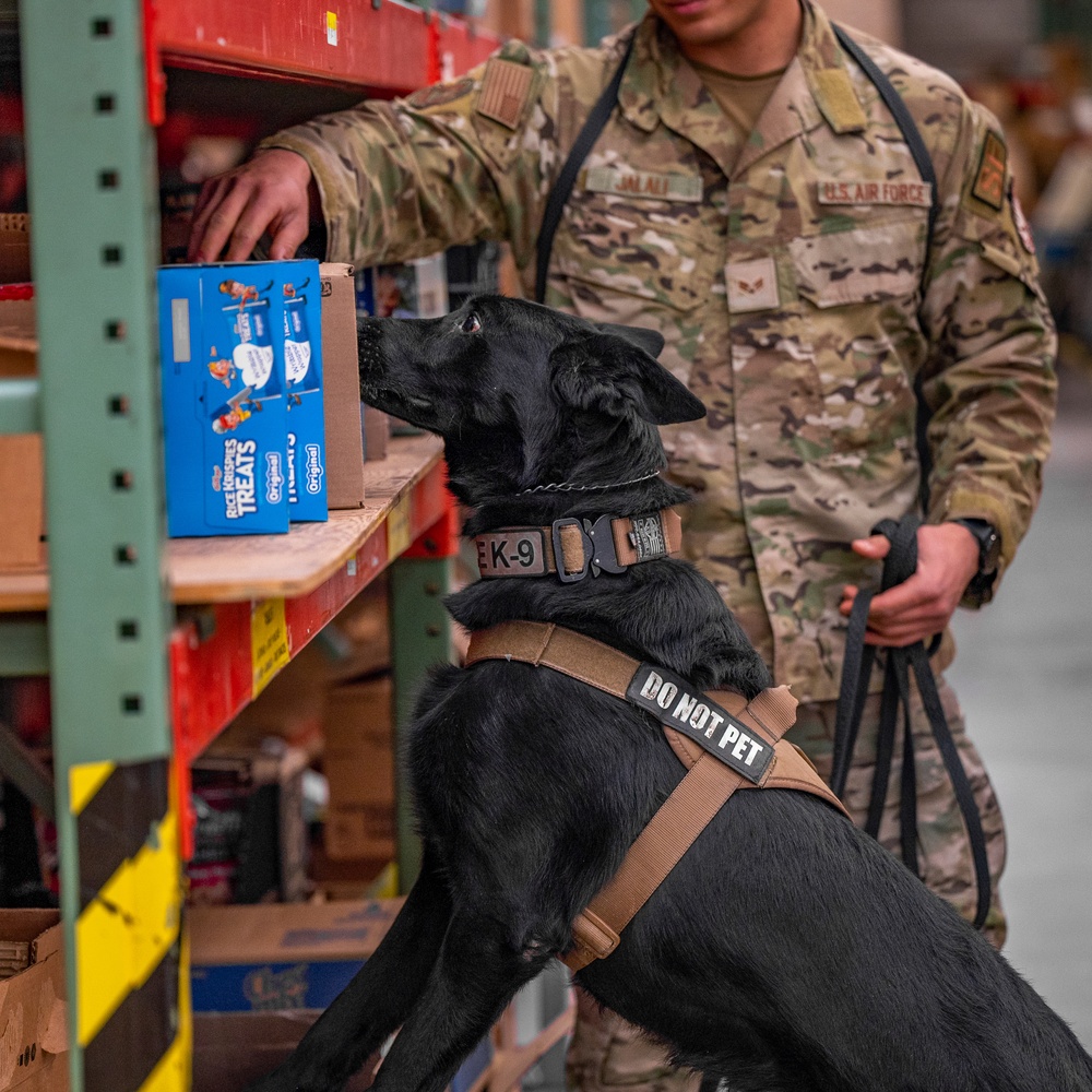 Air Force MWDs conduct winter training