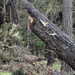 Presidio of Monterey, stakeholders, come together for storm response