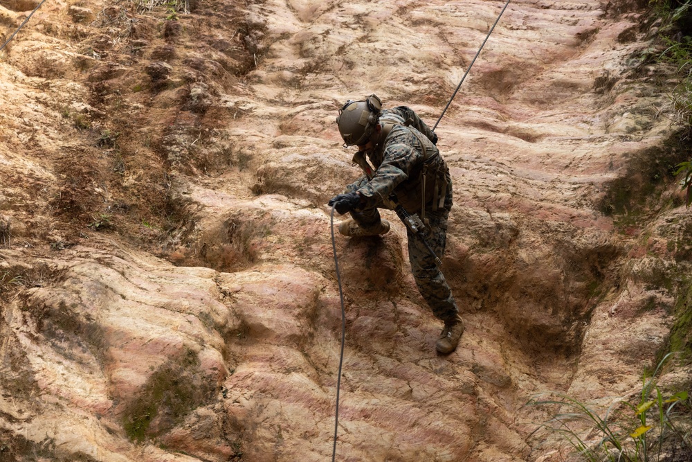 Division Squad Competition: Rappelling