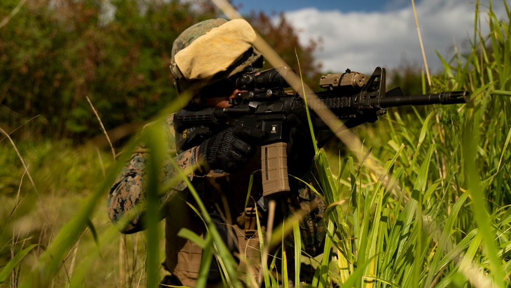 Exercise Typhoon Crossbow