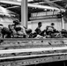 Paratroopers Don Shoots Operation Falcon Blitz