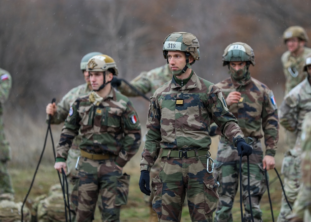 The 101st Air Assault Multi-national training in Romania