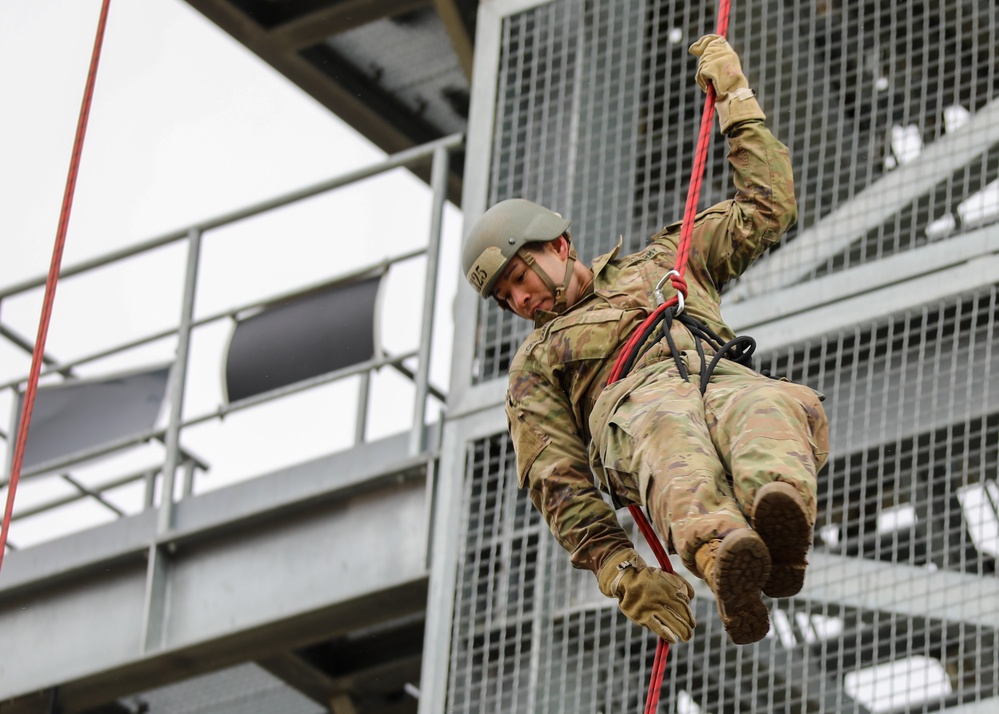 The 101st Air Assault Multi-national training in Romania