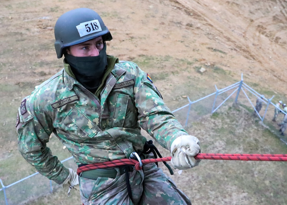 The 101st Air Assault Multi-national training in Romania