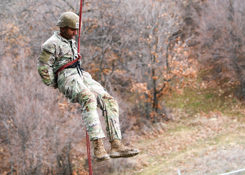 The 101st Air Assault Multi-national training in Romania