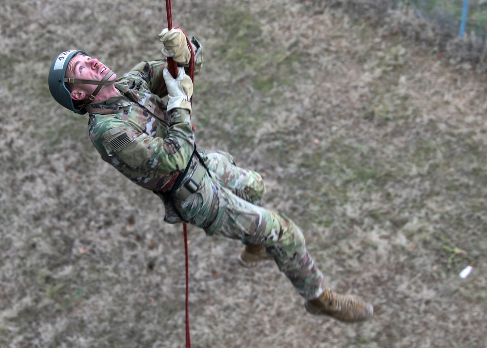 The 101st Air Assault Multi-national training in Romania