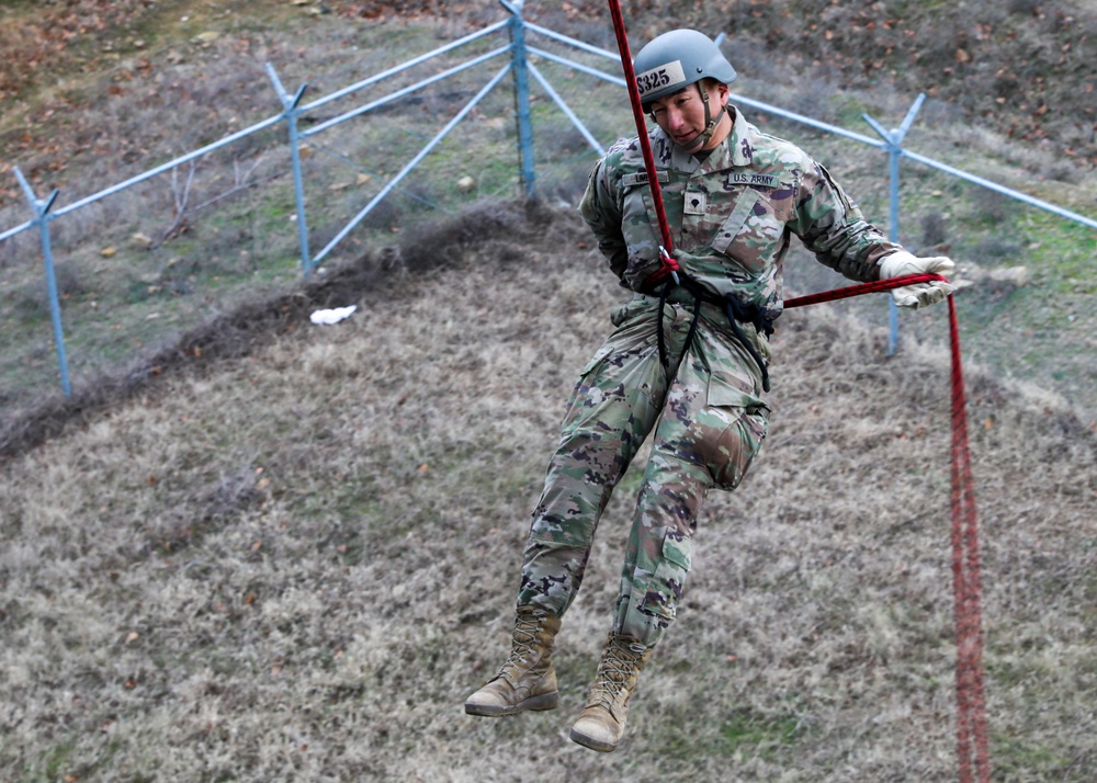 The 101st Air Assault Multi-national training in Romania