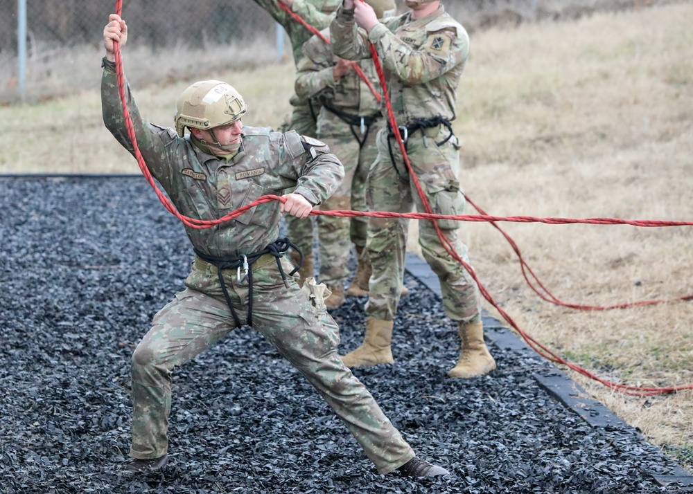 The 101st Air Assault Multi-national training in Romania