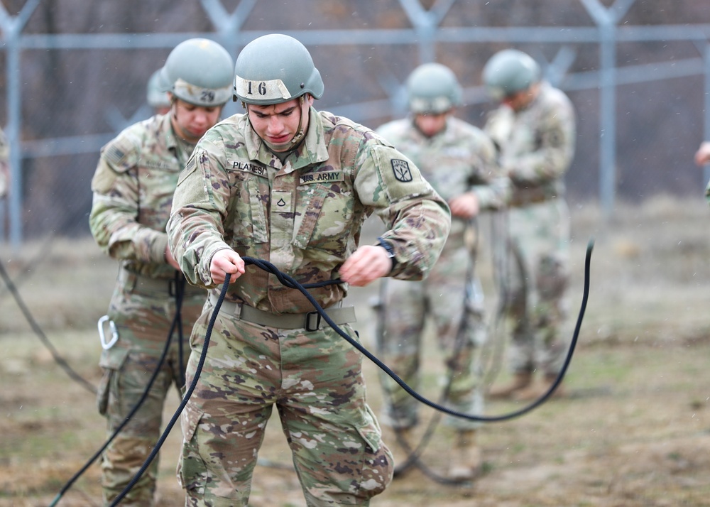 The 101st Air Assault Multi-national training in Romania