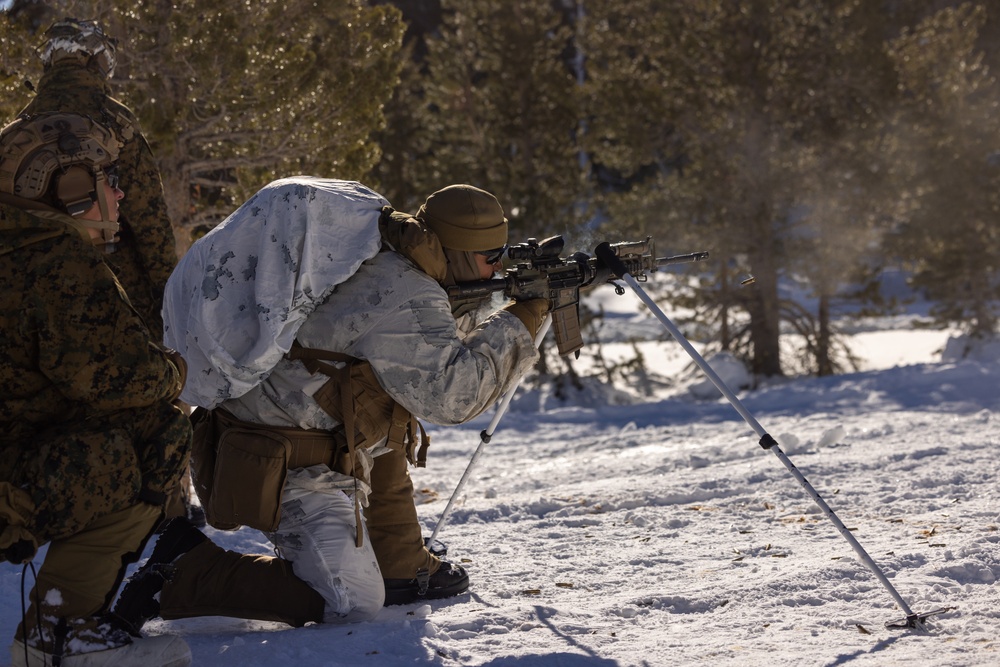 MTX 2-23 Company Offensive Operations Lane and Range 1000