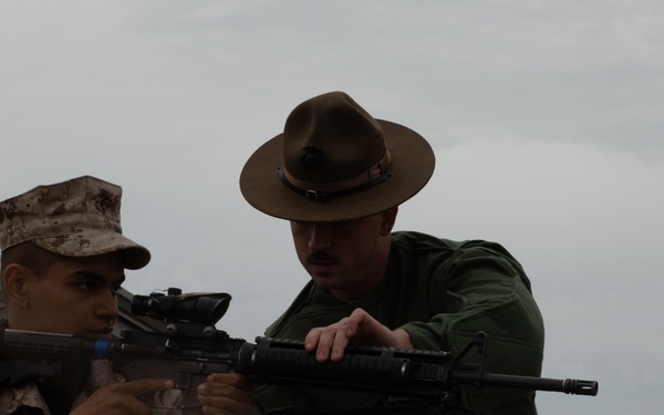 Golf Company Grass Week