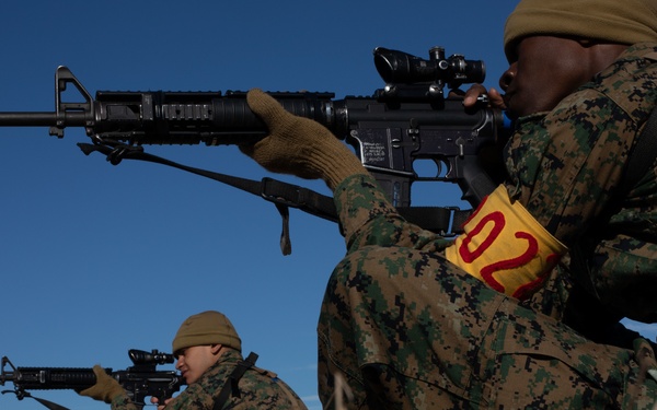 Golf Company Grass Week