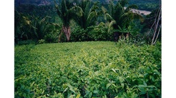 Intelligence supports Peruvian counterdrug operations