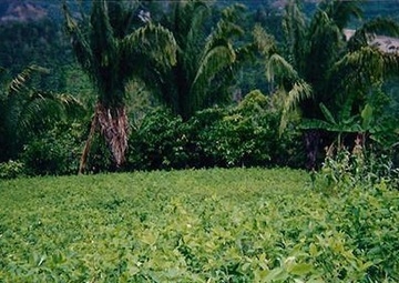 Intelligence supports Peruvian counterdrug operations