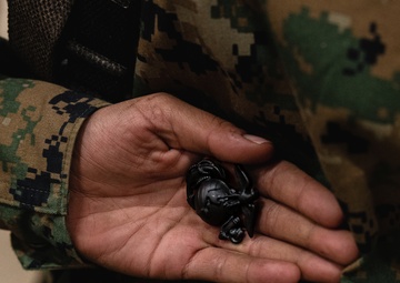 Kilo Company Eagle Globe and Anchor Ceremony