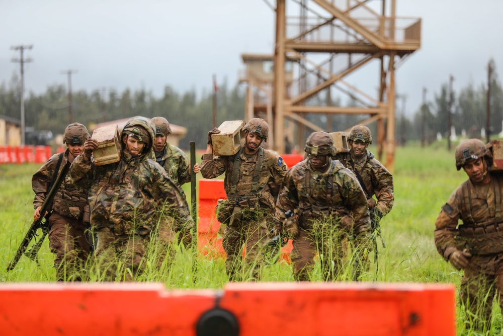 25th Infantry Division Artillery (DIVARTY) Best By Stress Shoot