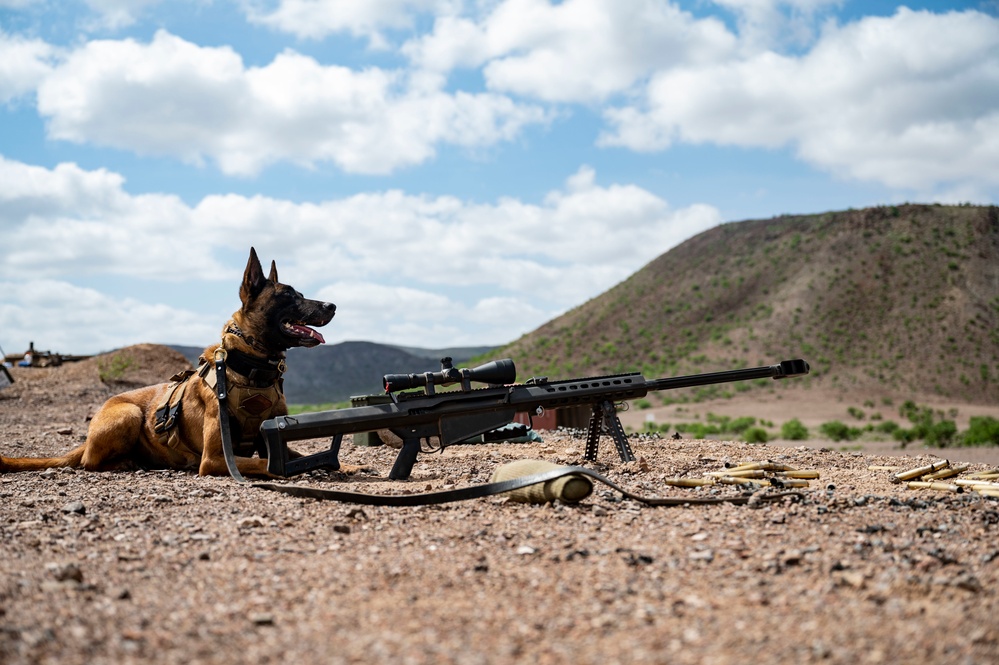 East Africa Response Force conducts sniper training