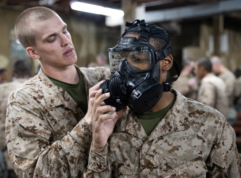 Delta Company Gas Chamber