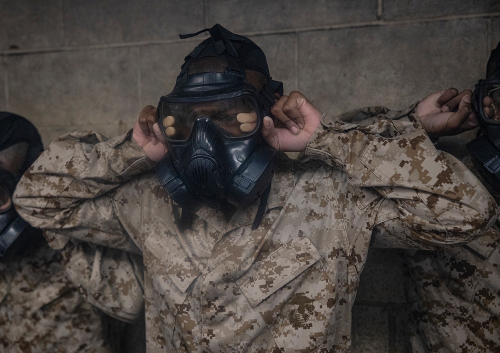 Delta Company Gas Chamber