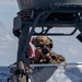 13th MEU Maritime Raid Platoon Forward Screen Exercise