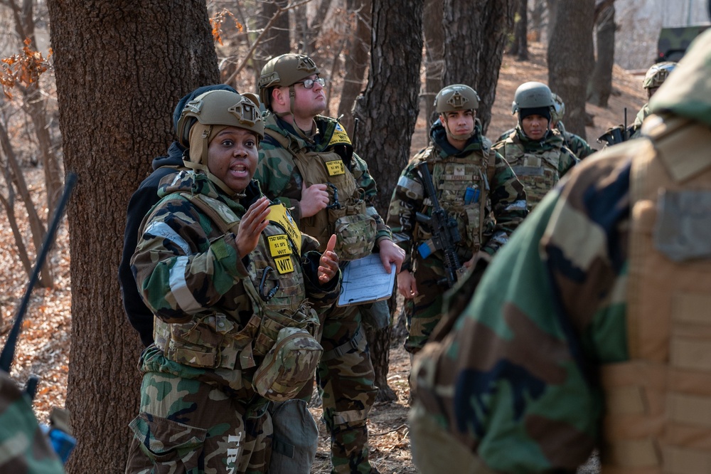 Defenders conduct civilian rescue in routine training