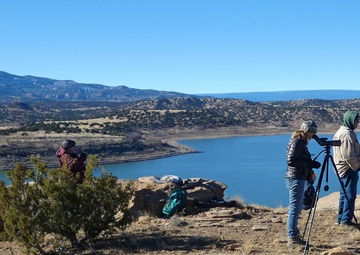 More than 40 volunteers count eagles at annual Abiquiu Lake event