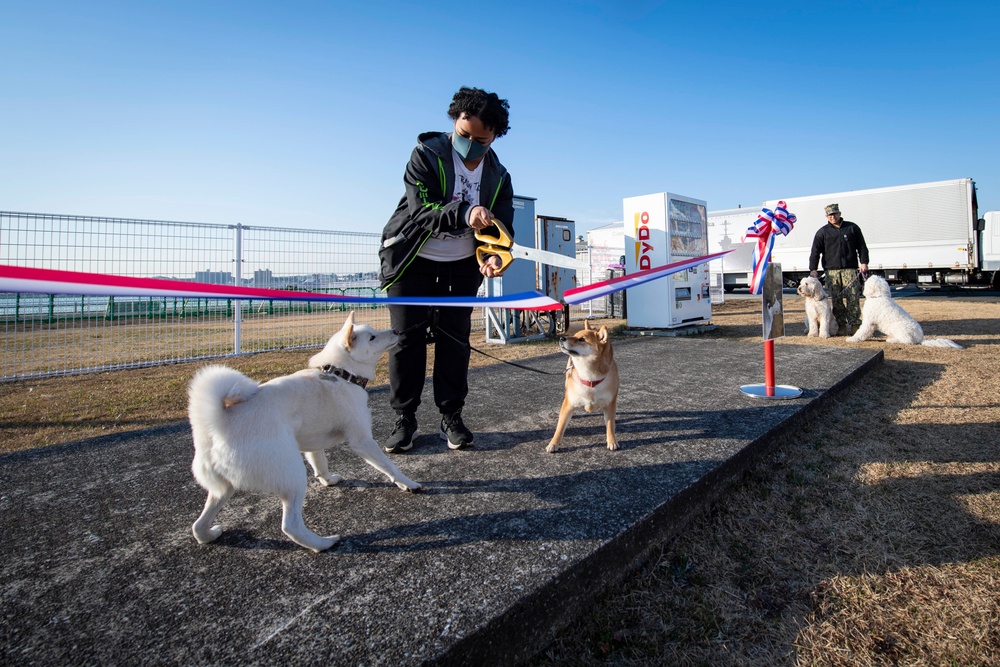 CFAY Opens New Temporary Dog Park