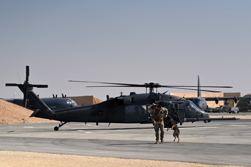 Air Force K-9s complete helicopter acclimation training