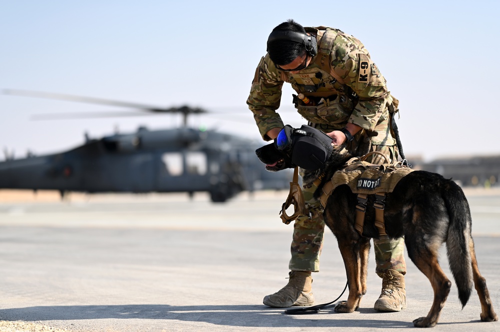 Air Force K-9s complete helicopter acclimation training