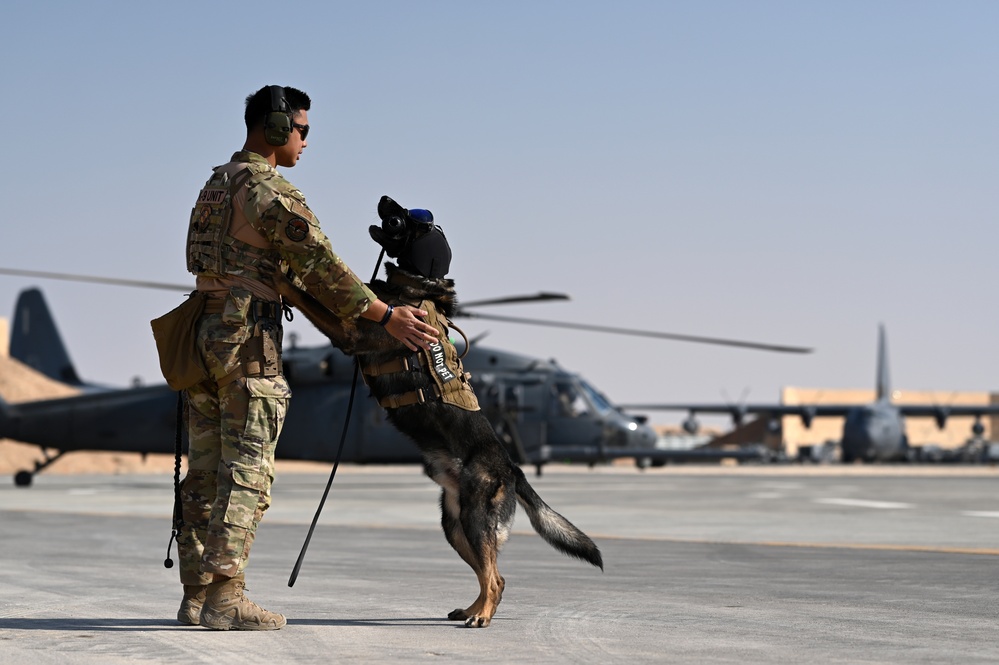 Air Force K-9s complete helicopter acclimation training