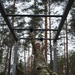 307th Military Intelligence Brigade conquers obstacle course