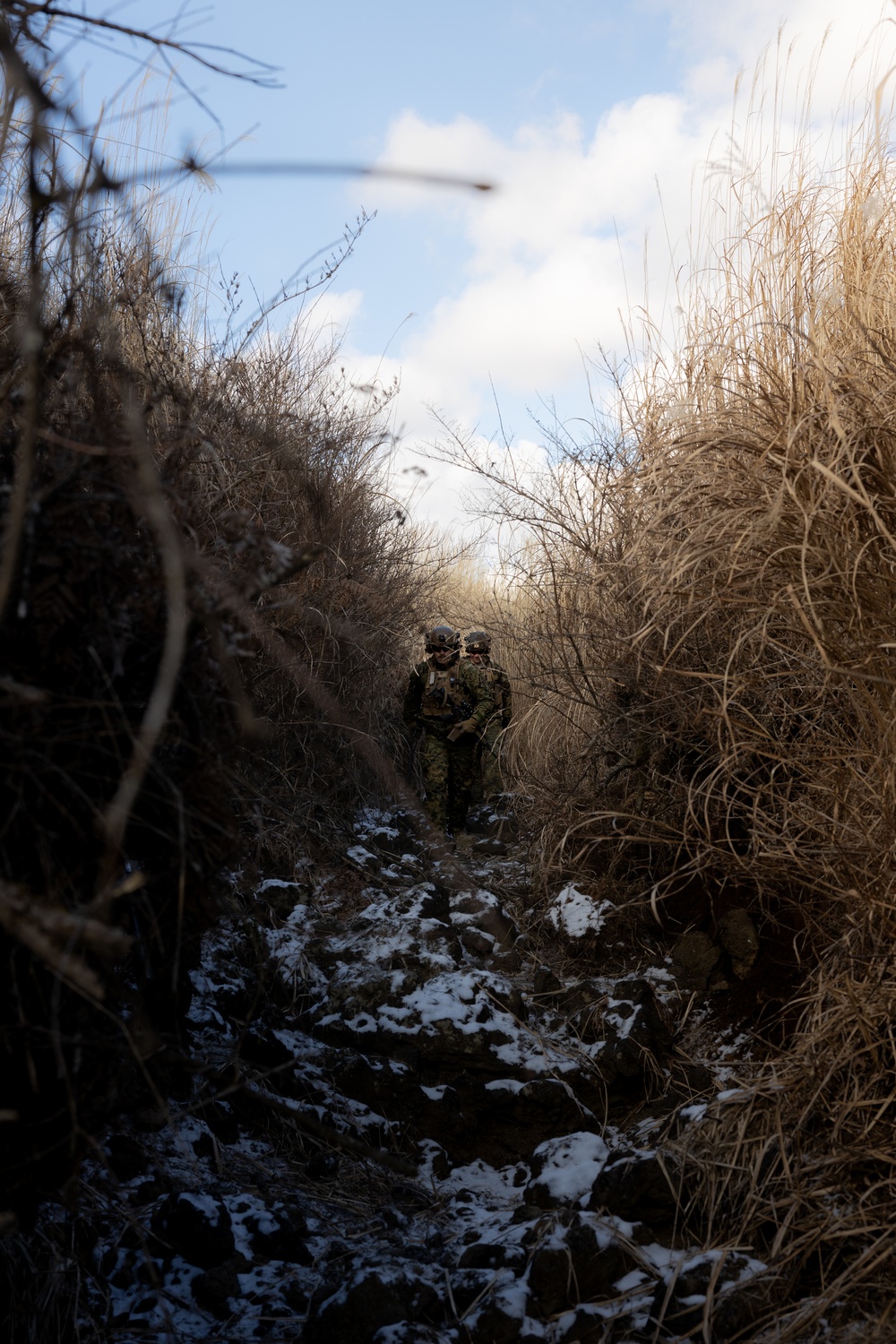 Fuji Viper 23.2: V34 Marines conduct Squad Attacks