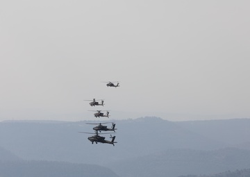 Task Force Spartan, Israel Defense Forces team up for Exercise Juniper Oak 2023