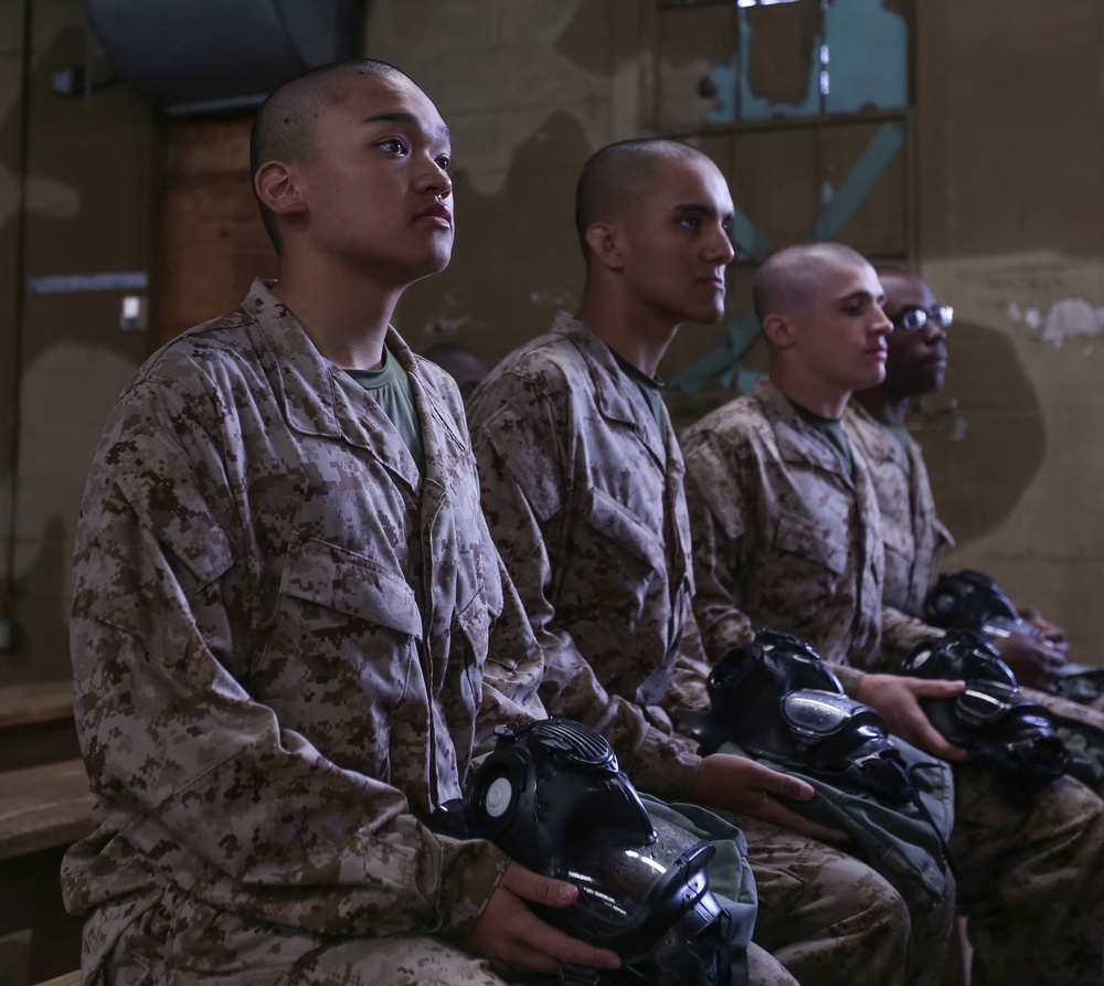 Delta Company Gas Chamber