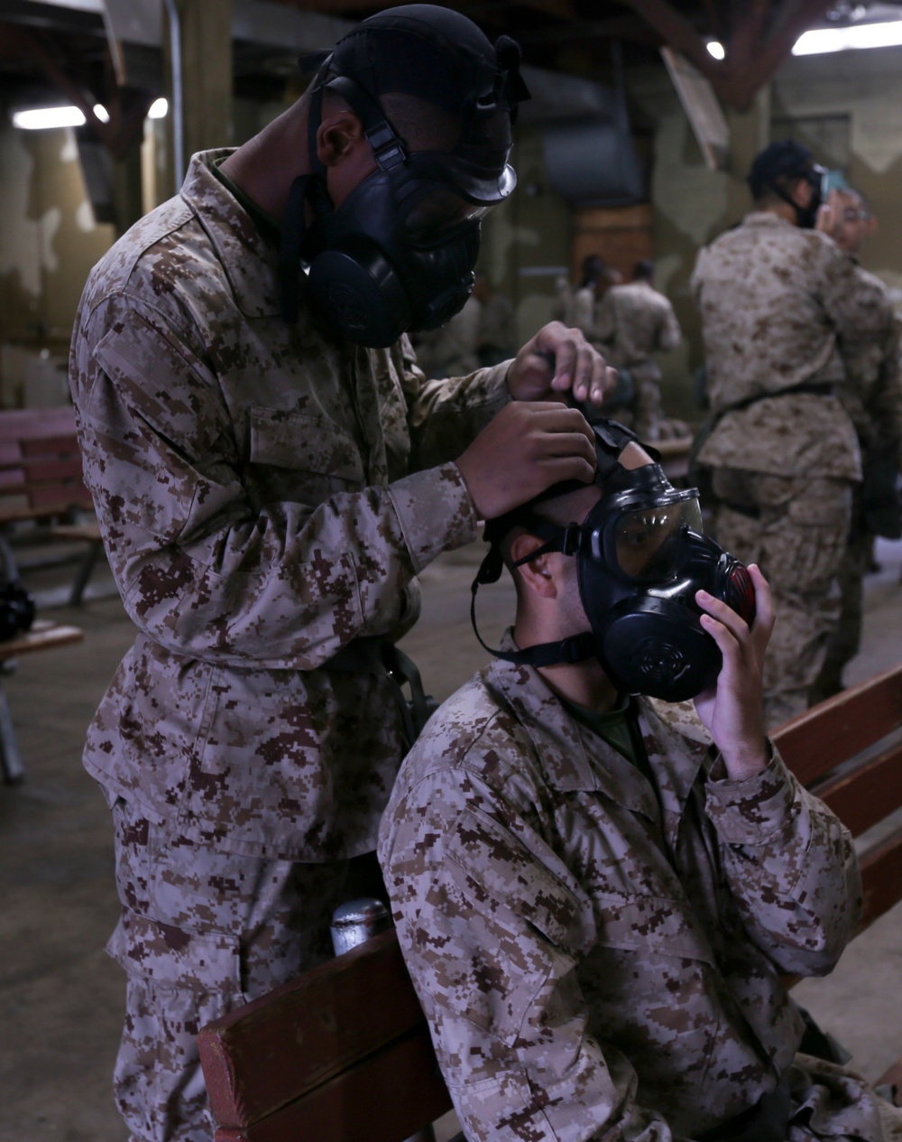 Delta Company Gas Chamber