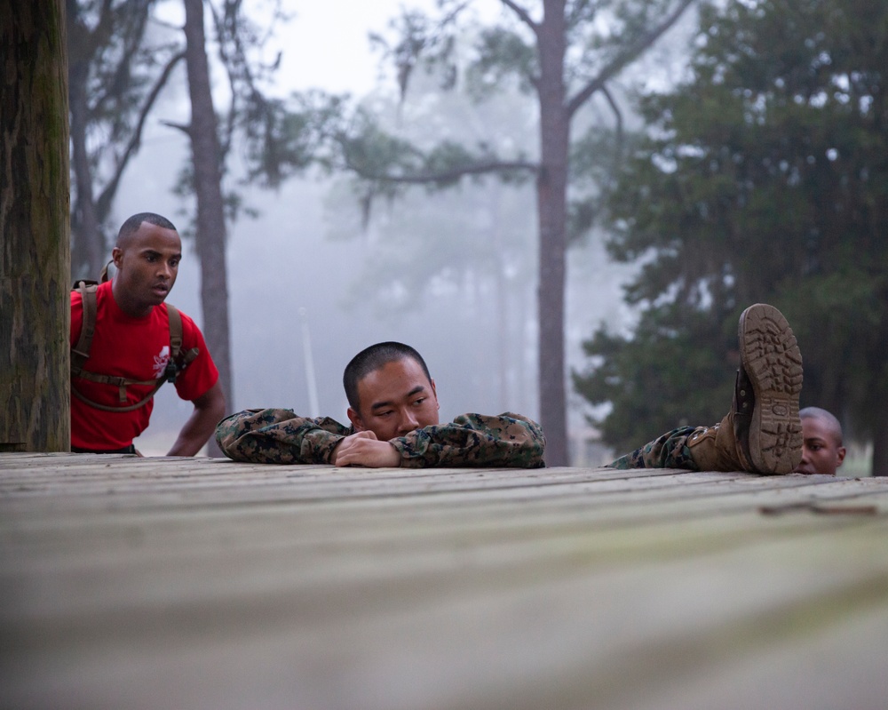 Delta Company Confidence Course