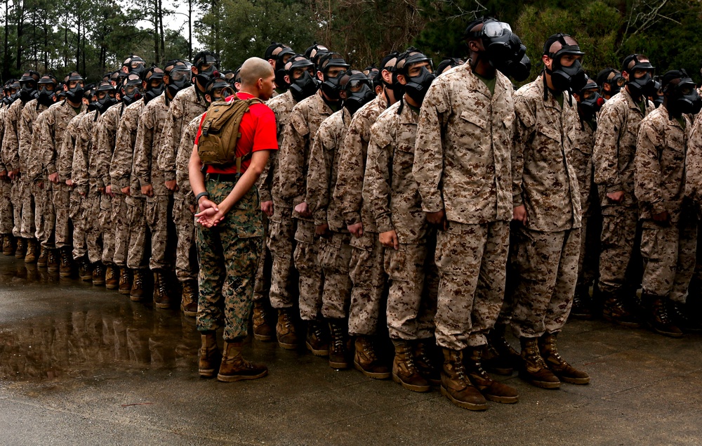 Delta Company Gas Chamber