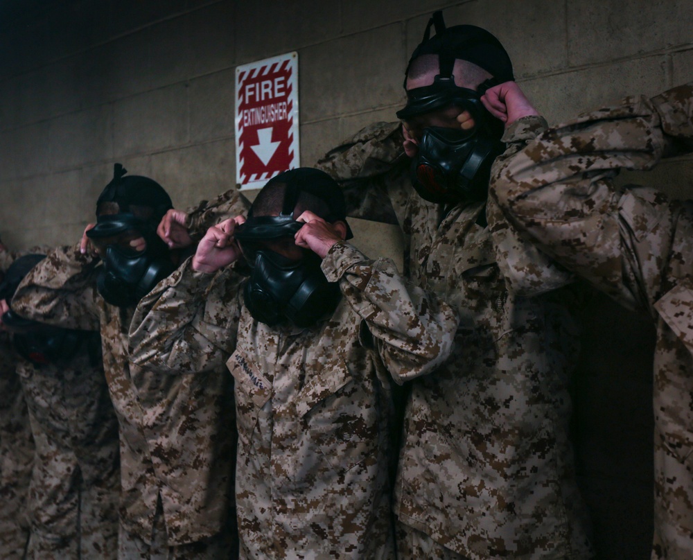 Delta Company Gas Chamber