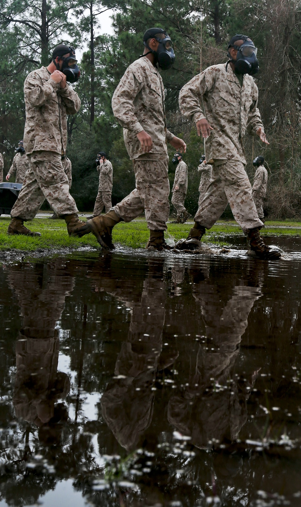 Delta Company Gas Chamber
