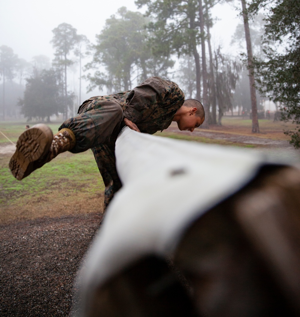 Delta Company Confidence Course