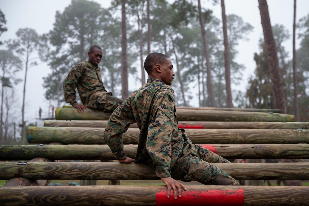Delta Company Confidence Course