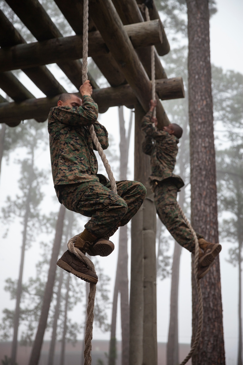 Delta Company Confidence Course
