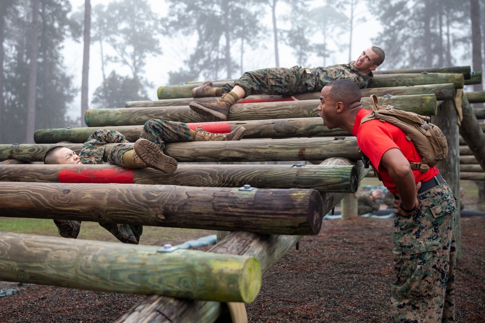 Delta Company Confidence Course